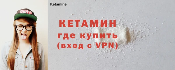 гидра Няндома