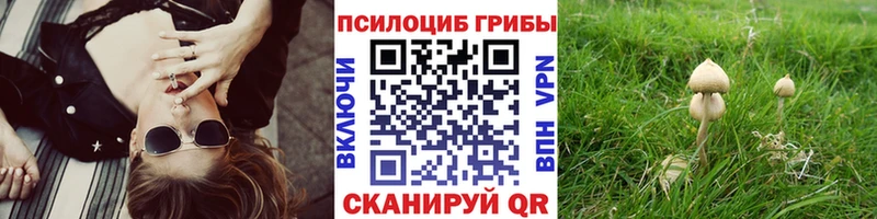 KRAKEN tor  продажа наркотиков  маркетплейс как зайти  Галлюциногенные грибы мицелий  Майский 